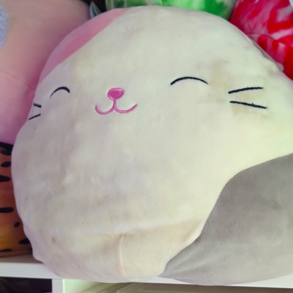 Squishmallow!